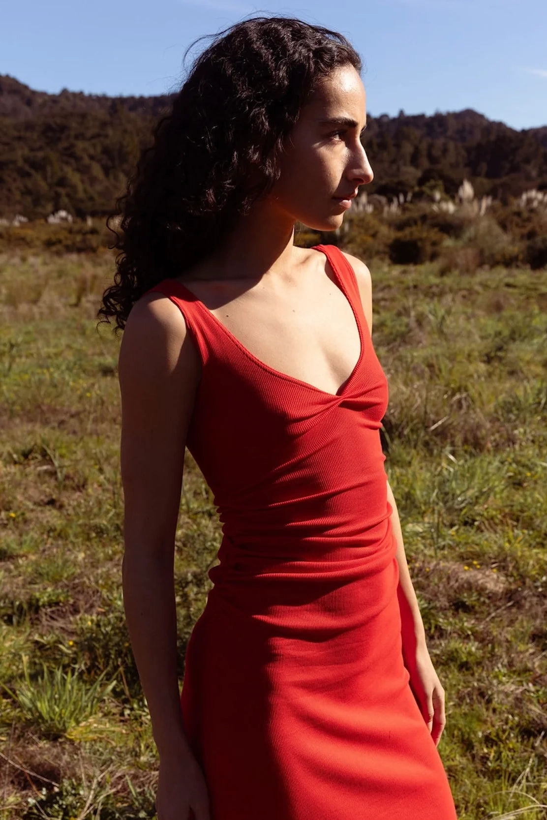 Dominique Healy Jill Dress // Scarlett