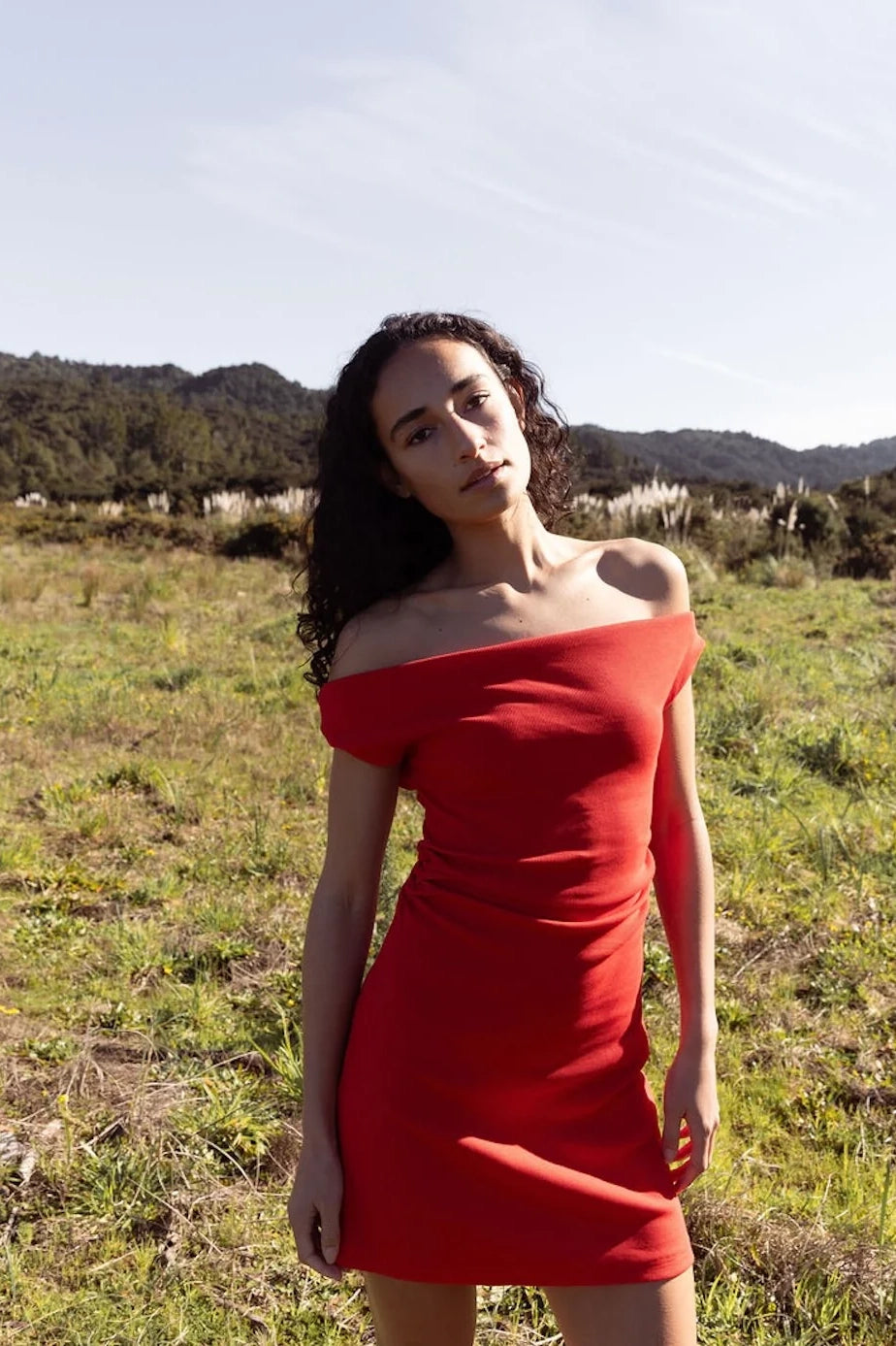 Dominique Healy Niveah Mini Dress // Scarlett