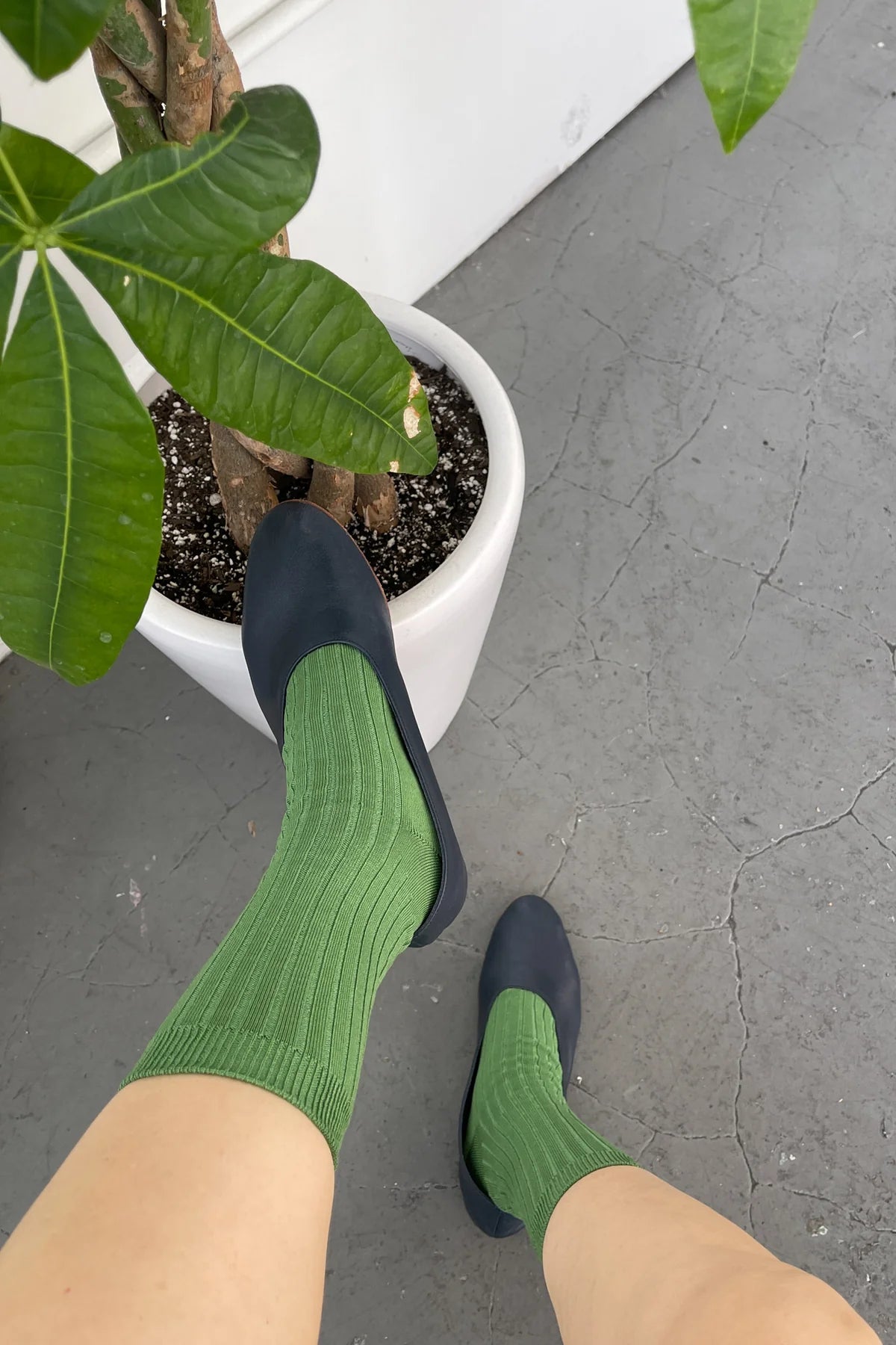 Le Bon Shoppe Her Socks MC Cotton // Jade