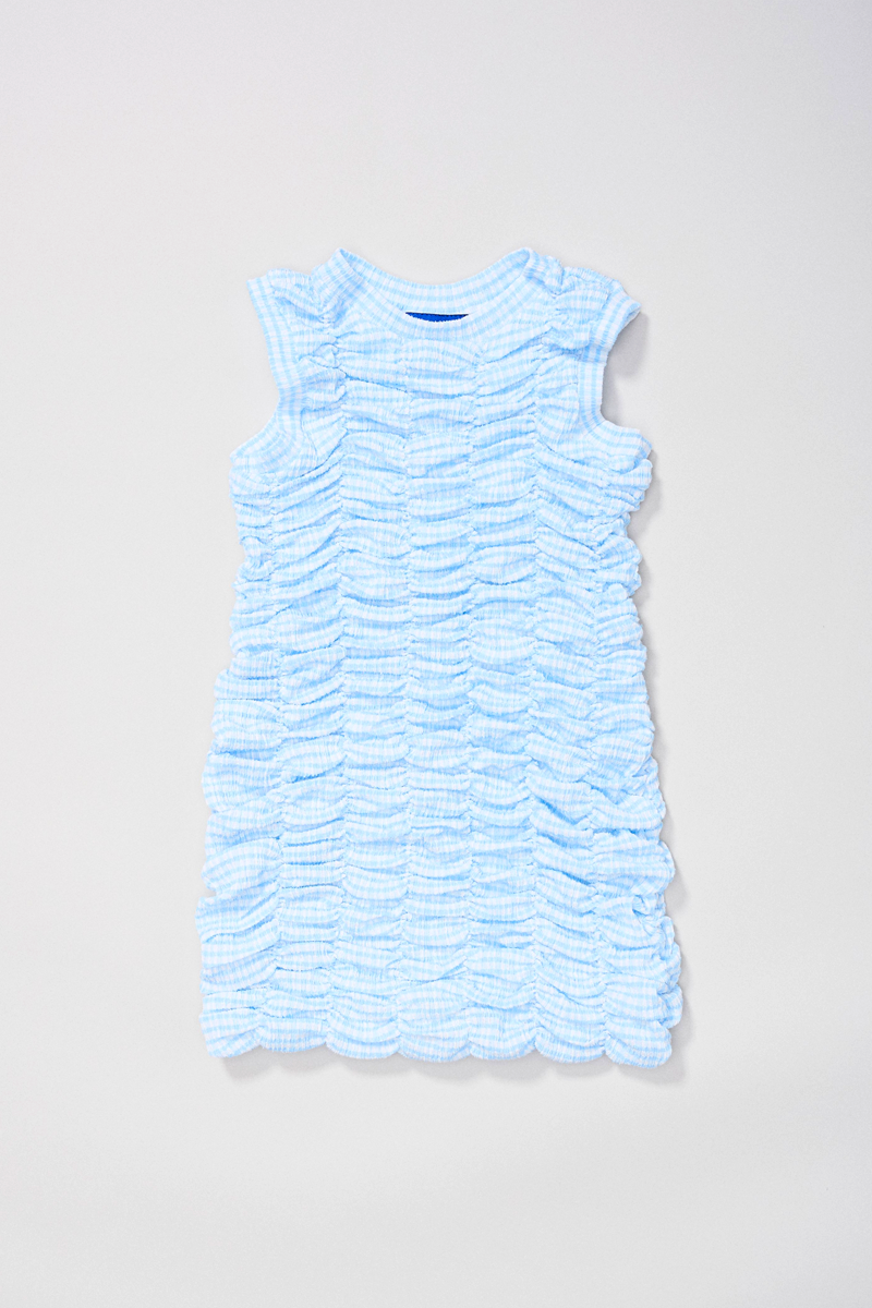 PV Eternal Dress // Blue Gingham